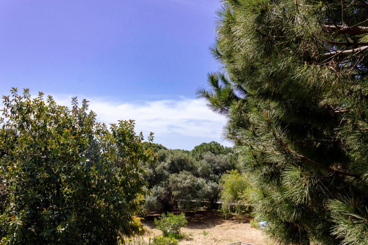 B&B Pirandello - Residence Villa Margherita Agrigento Bagian luar foto