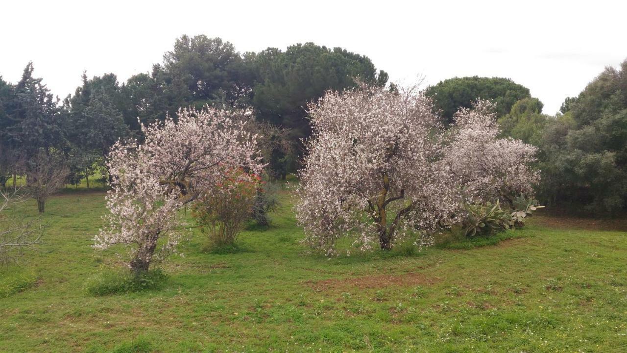 B&B Pirandello - Residence Villa Margherita Agrigento Bagian luar foto